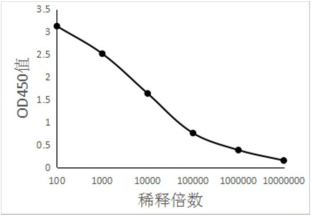 918博天堂